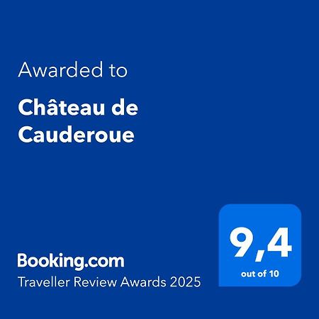 Chateau De Cauderoue Nérac エクステリア 写真