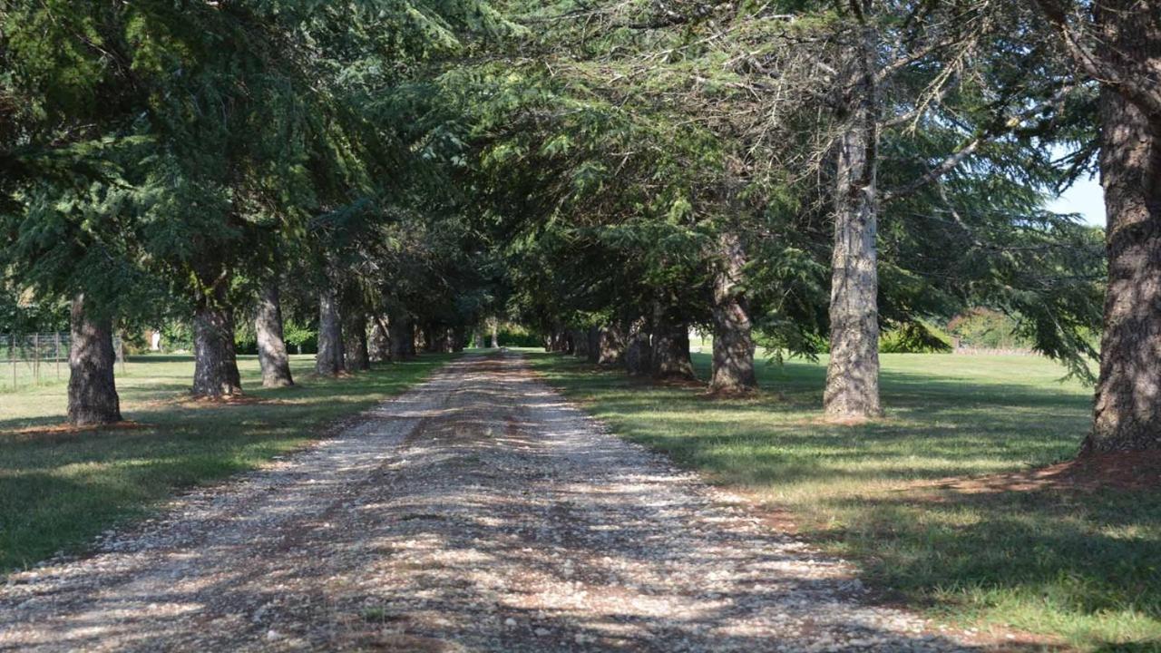 Nérac Chateau De Cauderoue Bed & Breakfast エクステリア 写真