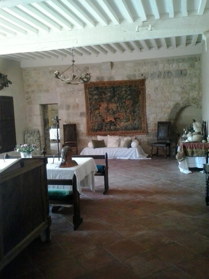 Chateau De Cauderoue Nérac エクステリア 写真