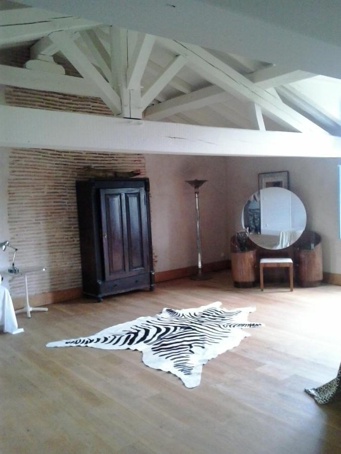 Chateau De Cauderoue Nérac エクステリア 写真