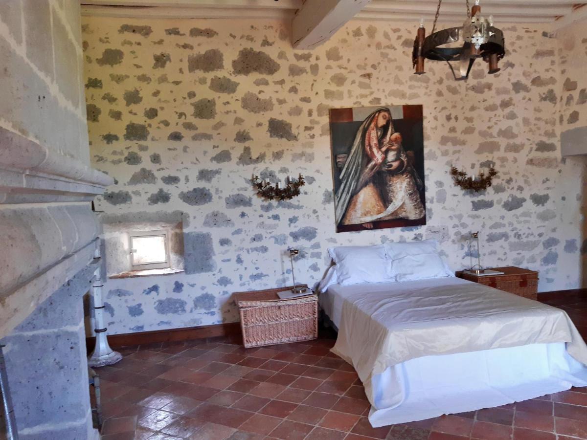Chateau De Cauderoue Nérac エクステリア 写真