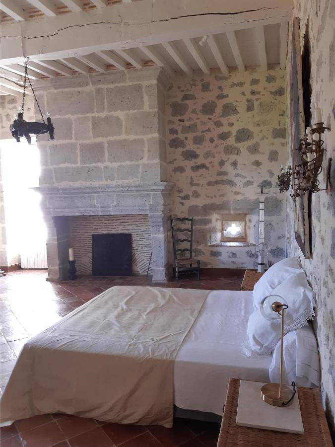 Nérac Chateau De Cauderoue Bed & Breakfast エクステリア 写真