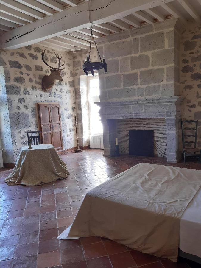 Nérac Chateau De Cauderoue Bed & Breakfast エクステリア 写真