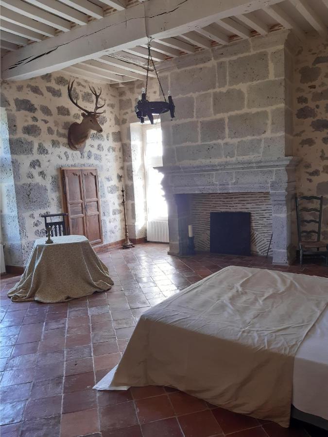 Chateau De Cauderoue Nérac エクステリア 写真