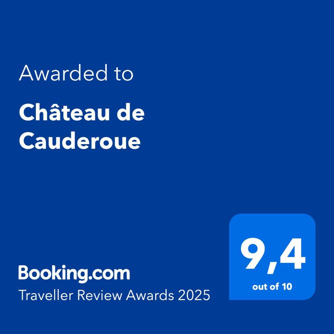 Chateau De Cauderoue Nérac エクステリア 写真